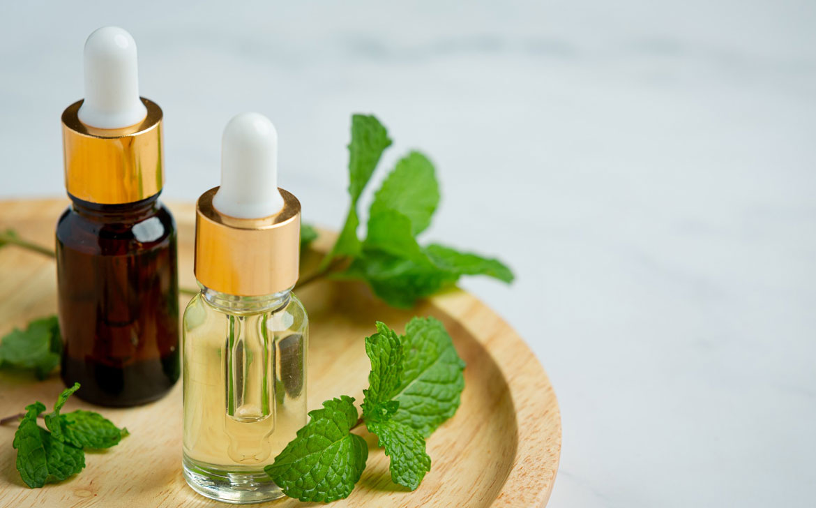 Blog Big10 – GMP certified ayurvedic company